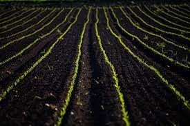 2023년 경기도 광주시 농민기본소득 지원사업 추가(3차) 신청대상과 신청방법