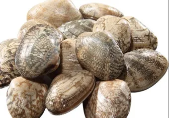 바지락 효능 보관방법 씻는법 해감시키는법_19