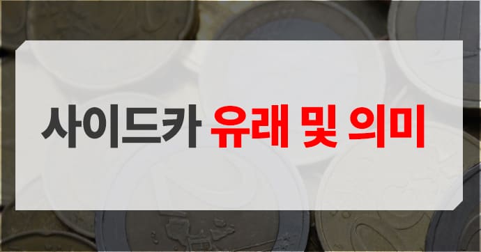 사이드카 사이드카의 유래 및 의미 설명