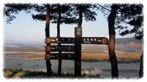 병술만 어촌체험마을