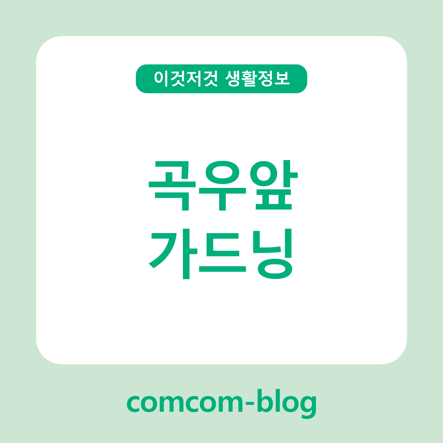 곡우의 촉촉한 기운, 우리 집에 초록을 들이다