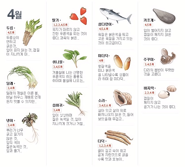 4월 제철음식