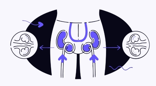 전립선비대증 원인과 의심증상