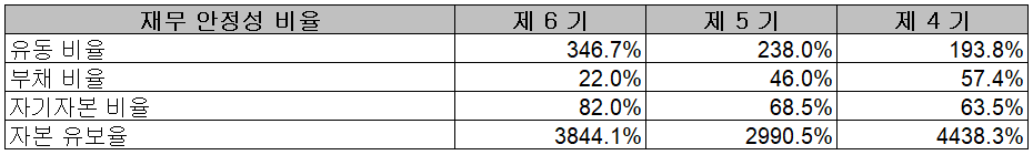 이녹스첨단소재 - 재무 안정성 비율