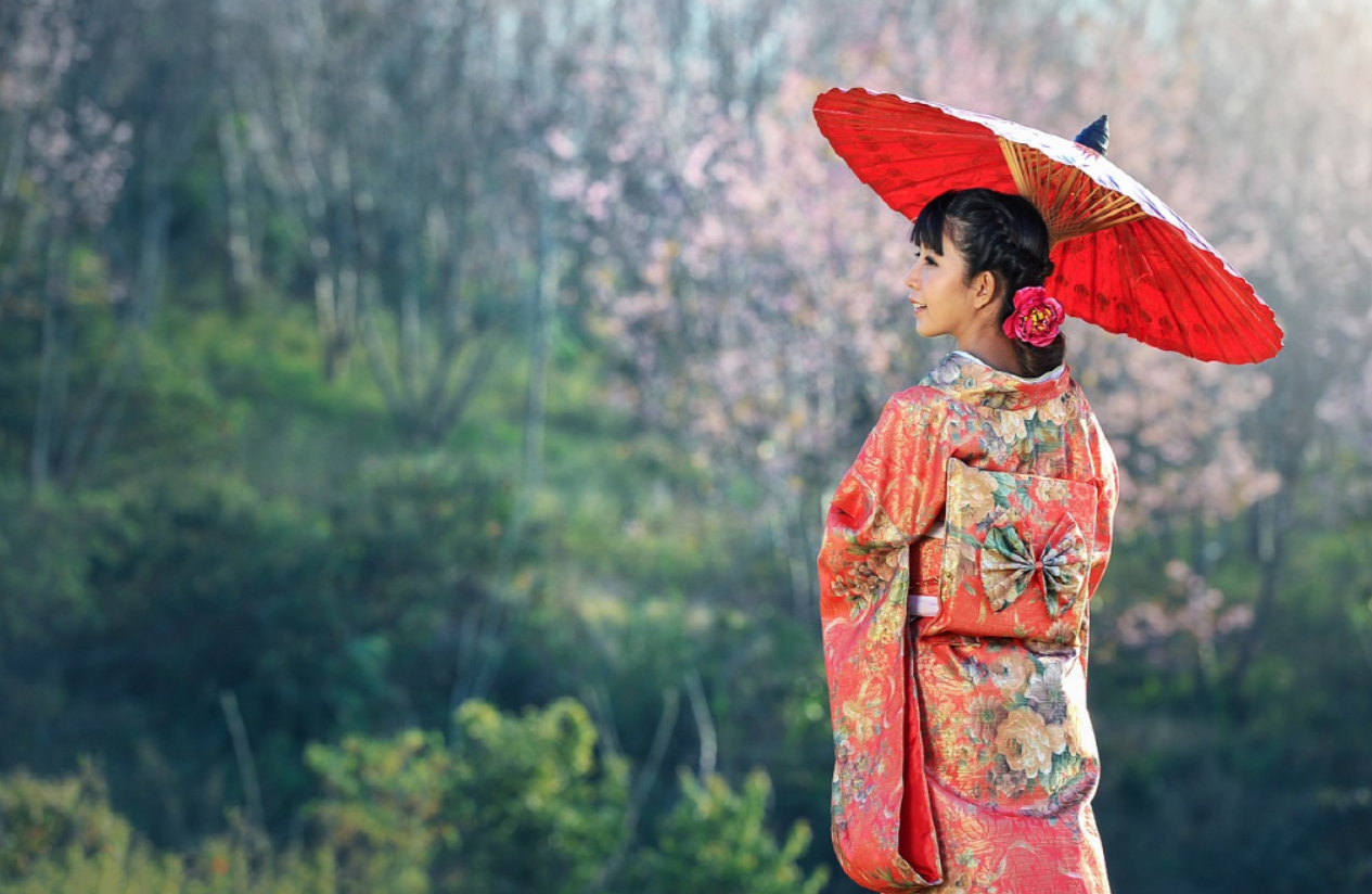 벚꽃 배경 기모노 입은 여자 사진