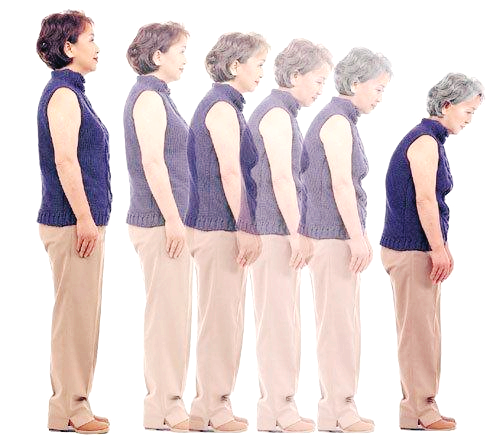 콘드로이친 효능 부작용