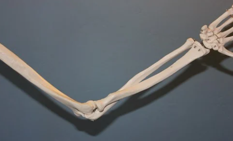 팔꿈치 통증 원인