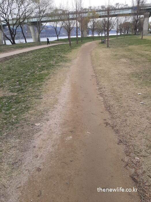 강변 잔디 사이로 이어진 좁고 구불구불한 흙길 걷기 산책로