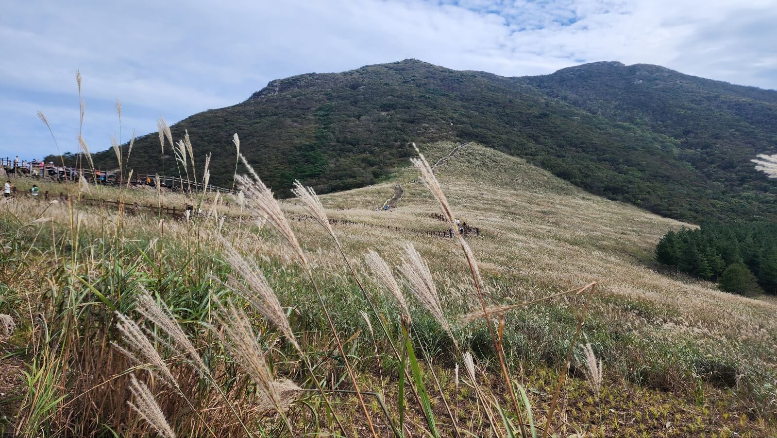 울산 가 볼만한 곳 Top3-간월재-억새축제
