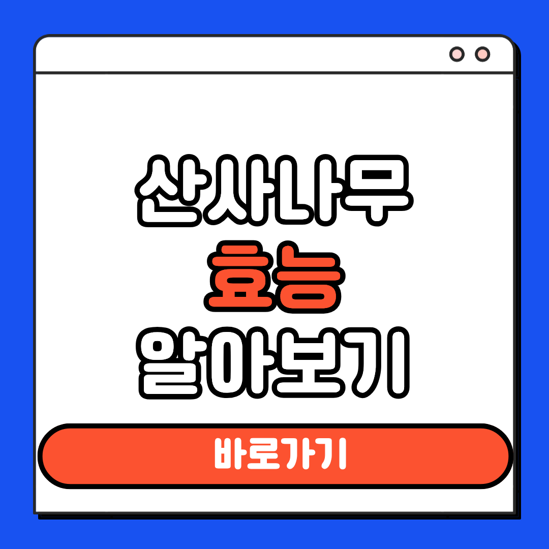 산사나무 효능