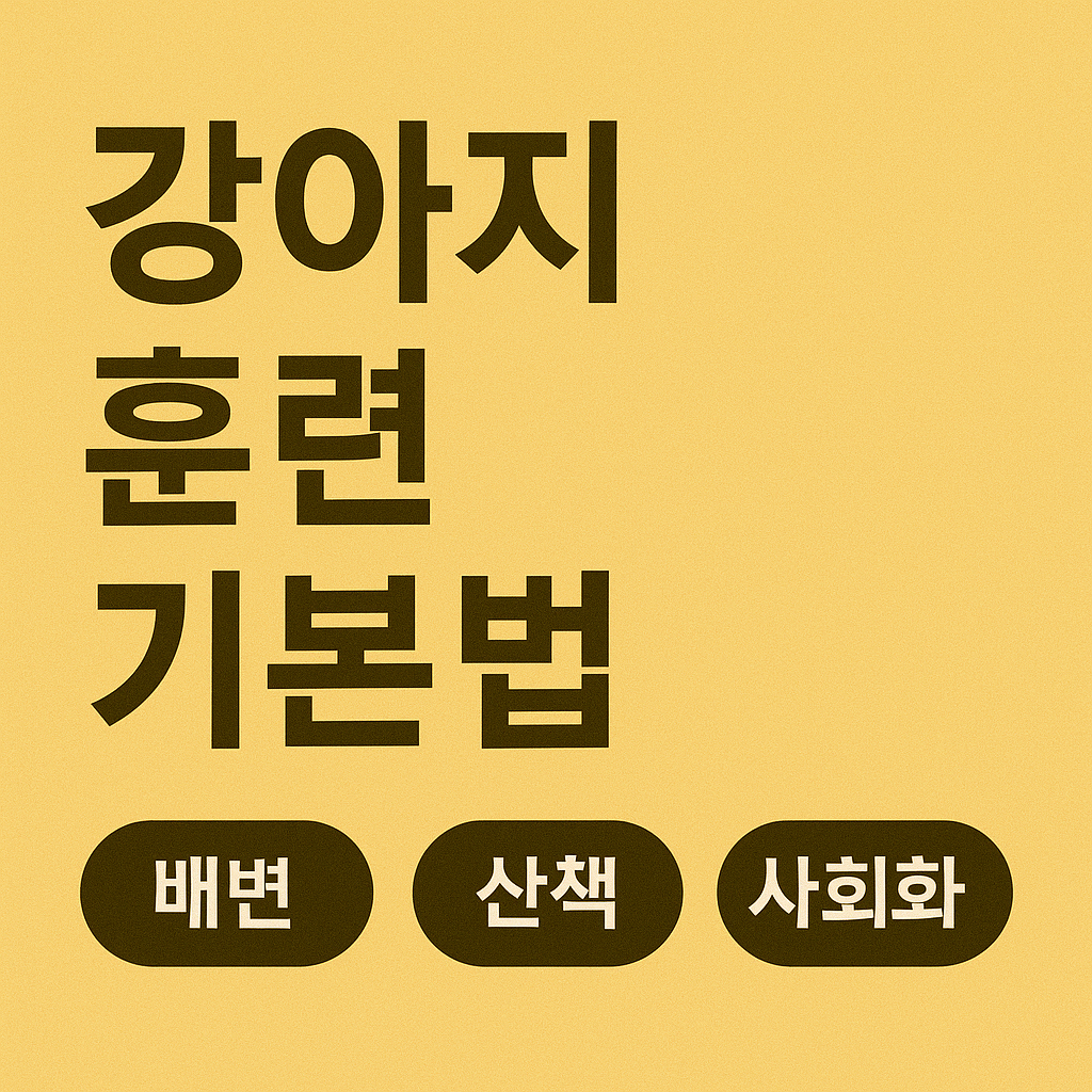 강아지 훈련 기본법