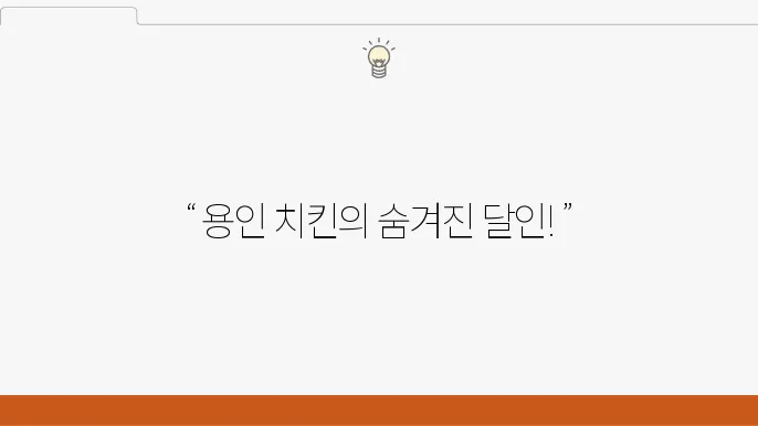생활의 달인 은둔식달 - 5대 치킨 맛집 (용인 통닭 맛집)