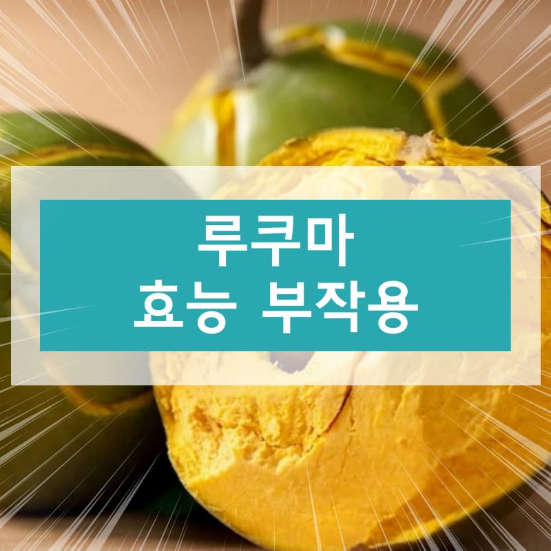 루쿠마 효능 부작용
