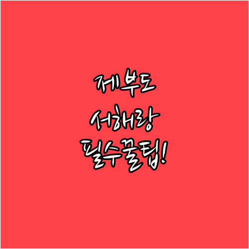 화성 제부도 서해랑 케이블카와 궁평항..