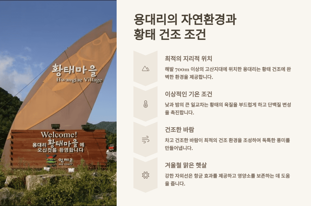 용대리의 자연환경과 황태 건조 조건