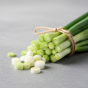 김장 쪽파 심는 시기