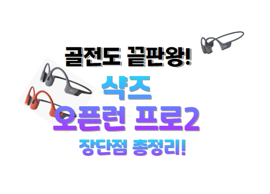 샥즈 오픈런 프로2