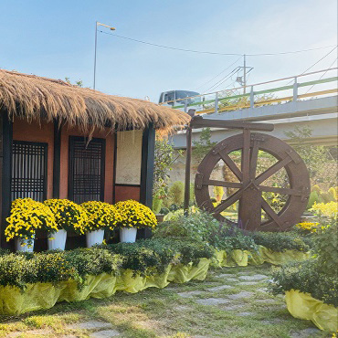 장성 황룡강 꽃길 축제