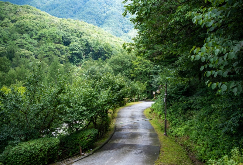 제천 덕동계곡길