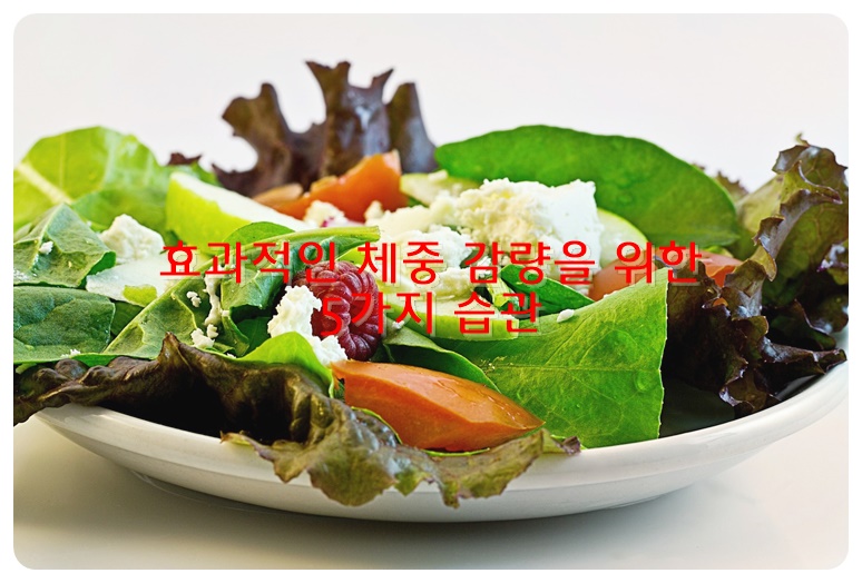 효과적인 체중 감량을 위한 5가지 습관