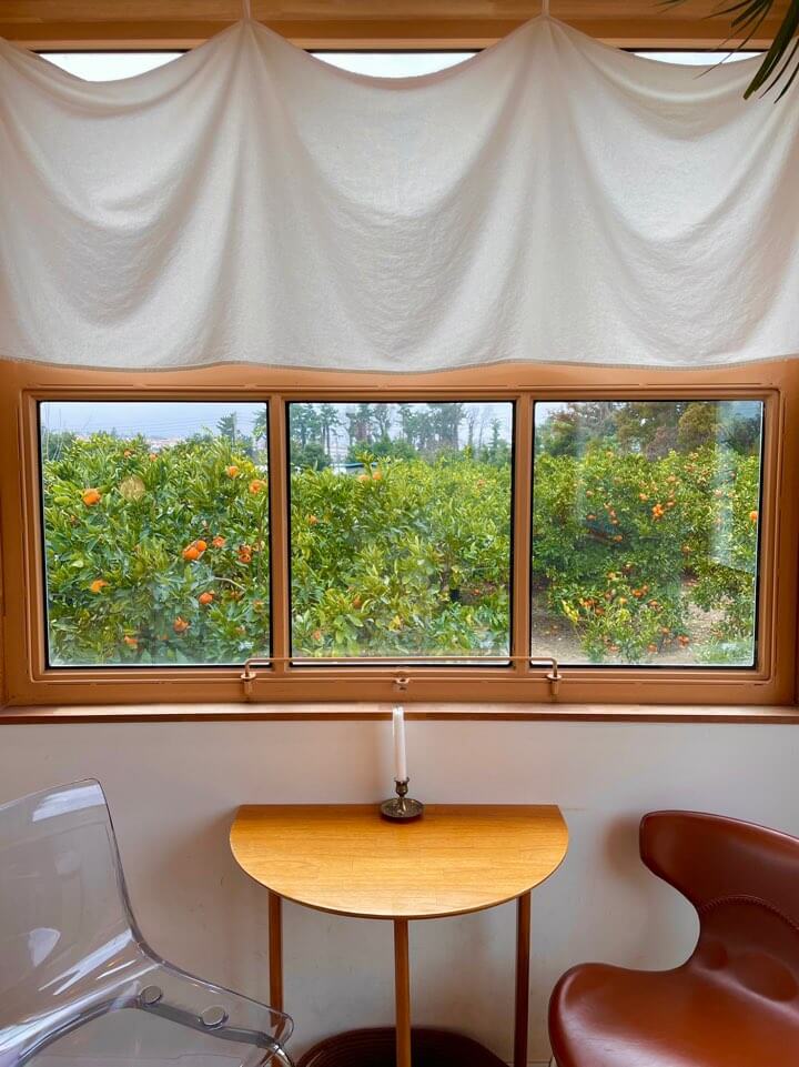 제주도-카페-추천-감성-사진