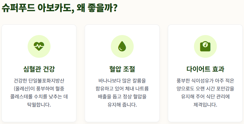 아보카도 먹는 방법