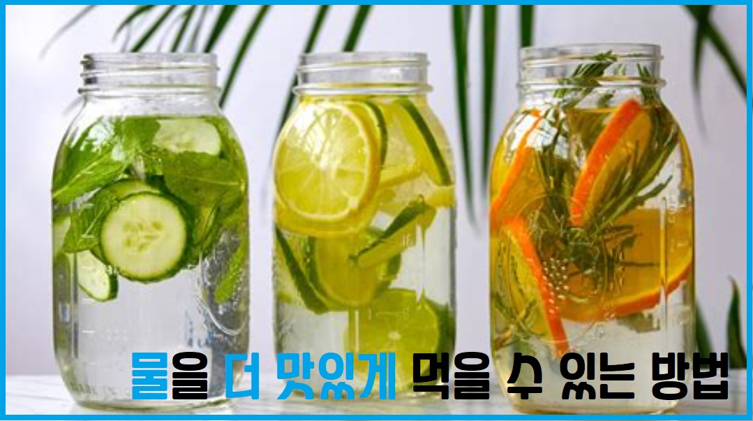 맹물 대신 마실 수 있는 음료와 팁 , 물을 더 맛있게 먹을 수 있는 방법
