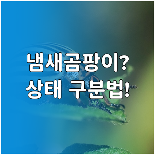 유통기한 지난 요거트 냄새 곰팡이 맛..
