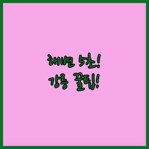 경포 해변 5초 거리 호텔 H Ave..
