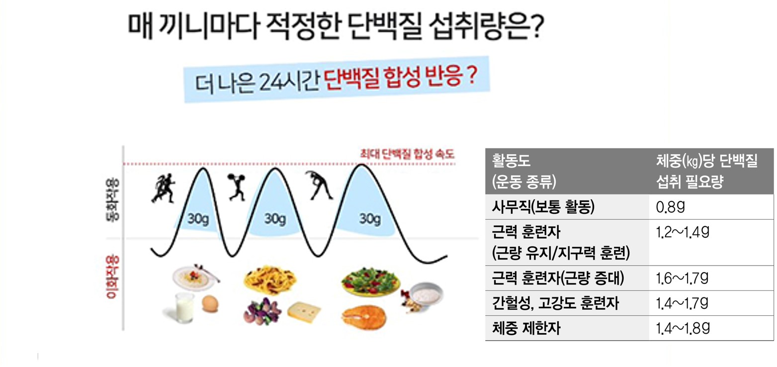 단백질
