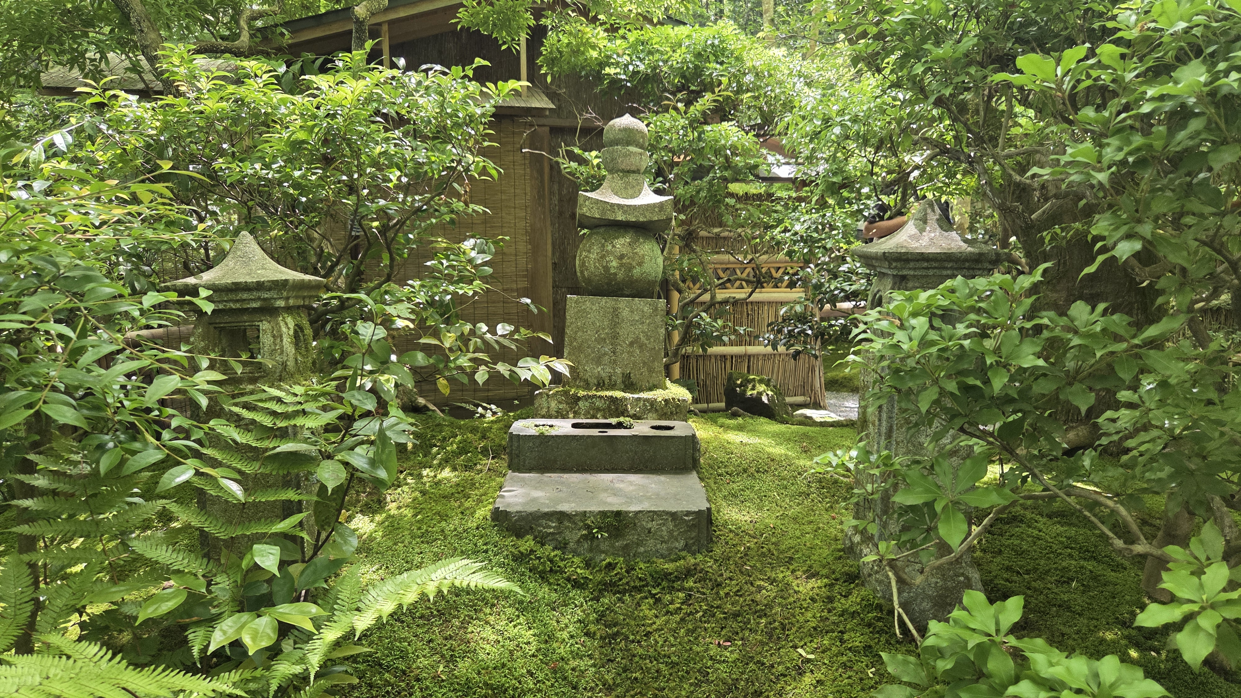 일본식 이끼 정원 사진