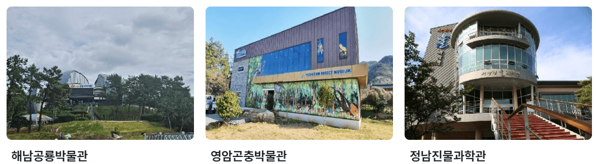 5월 전라남도 축제 가볼만한 곳 여행 추천 소중한 추억을 전합니다