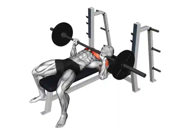 헬스기구 : 벤치프레스 사용법