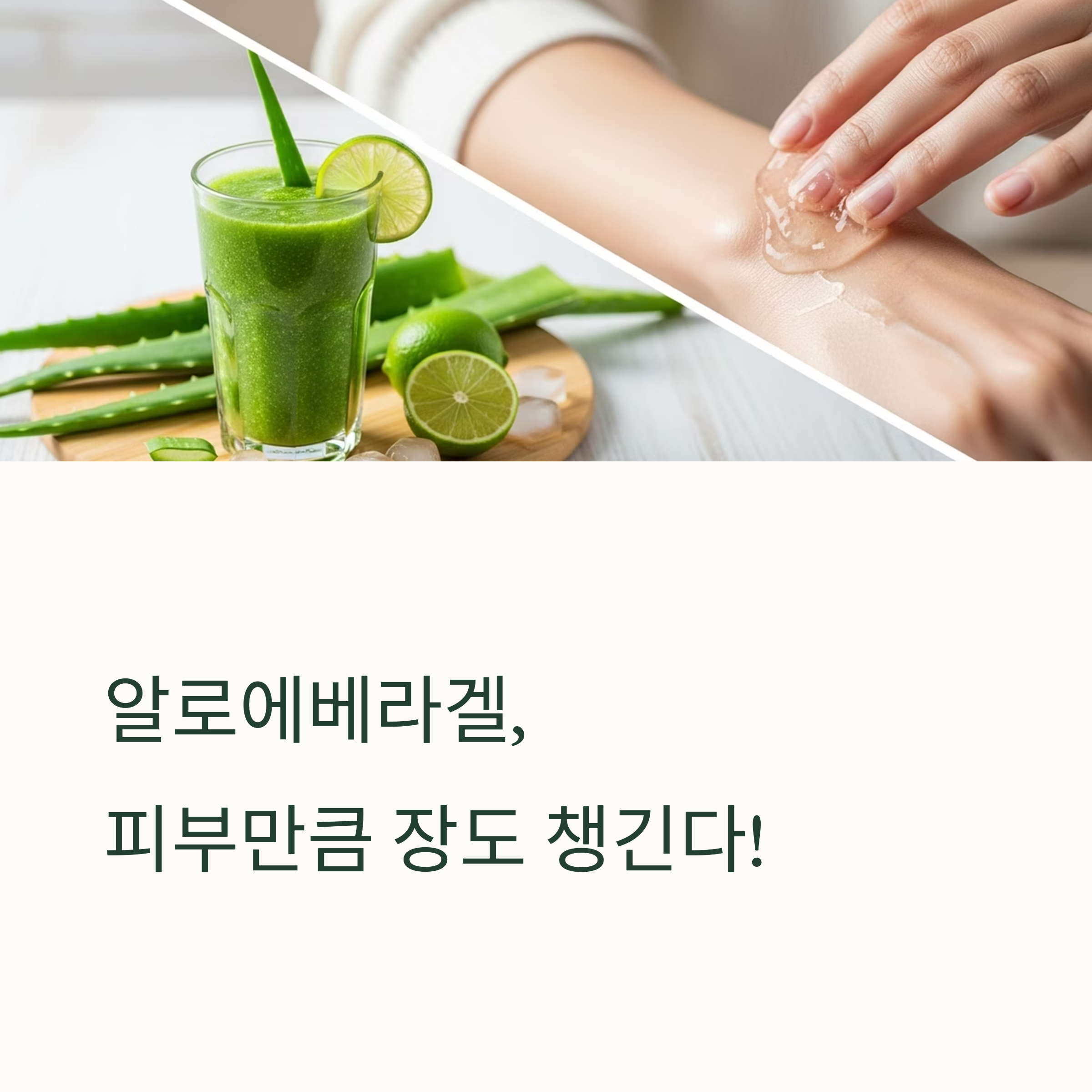 알로에베라겔, 피부만큼 장도 챙긴다!
