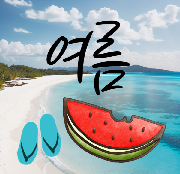 여름 바다