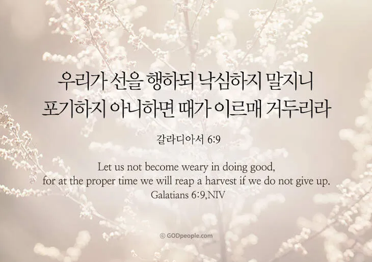 갈라디아서 6장 14절 묵상 십자가의 자랑_1