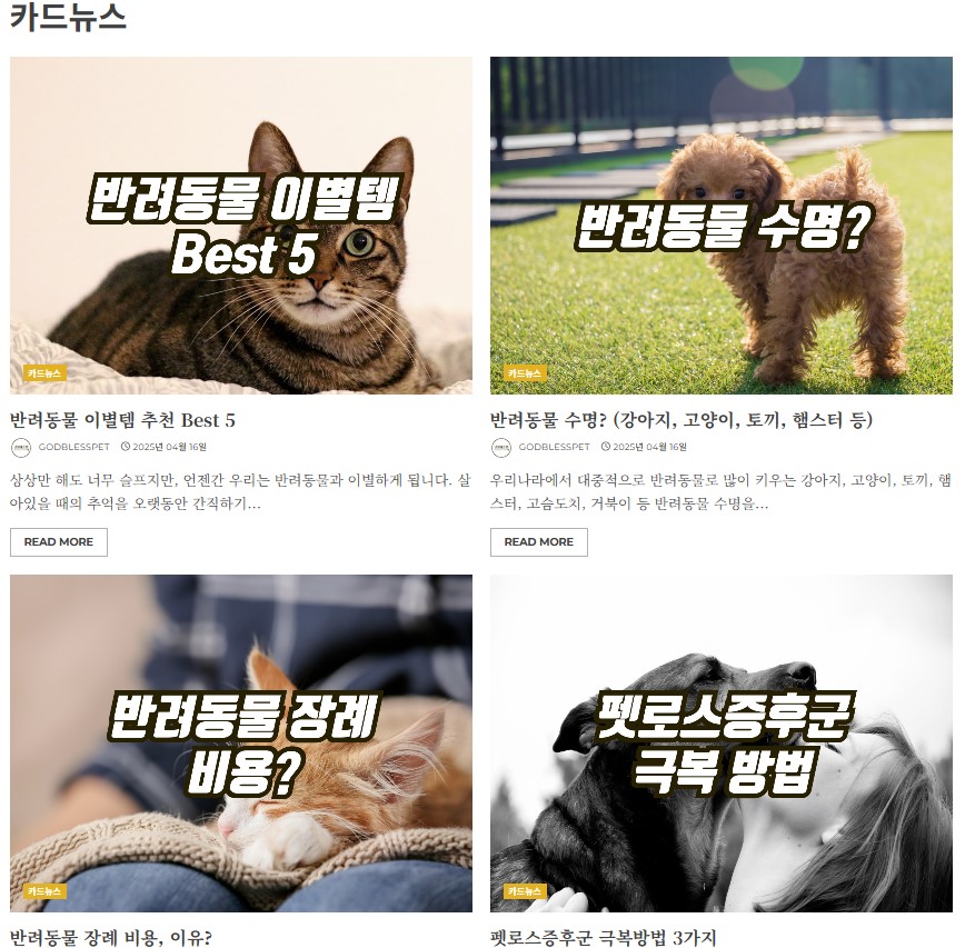 강아지-죽었을-때-위로