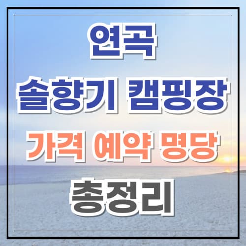 연곡솔향기캠핑장 가격 예약 명당 꿀팁 총정리