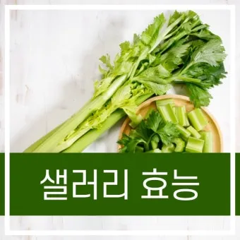 샐러리 효능 알고 먹는법 잎 생으로 손질법 요리_8