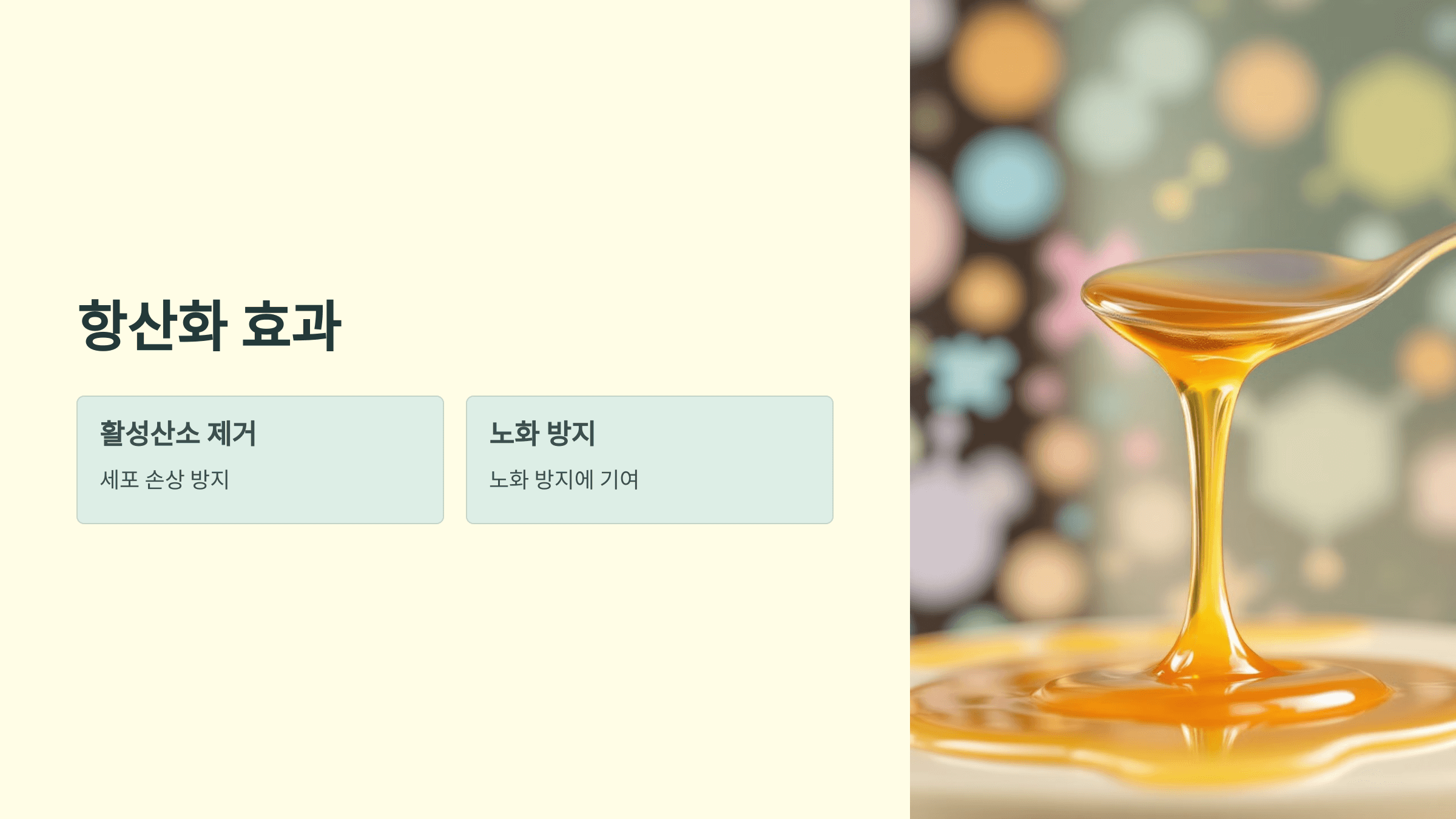 마누카꿀 사진입니다.