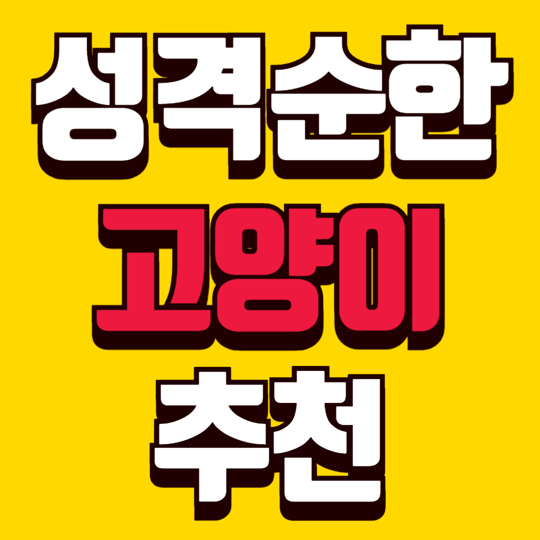 성격 순한 고양이 품종 추천 개냥이 집사 만족도 높은 고양이는 따로 있다