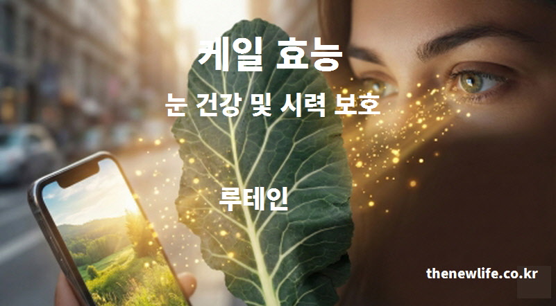 케일 효능 눈 건강 및 시력 보호 루테인, 스마트폰과 컴퓨터 사용이 많은 현대인의 눈 피로 회복과 황반 변성 예방