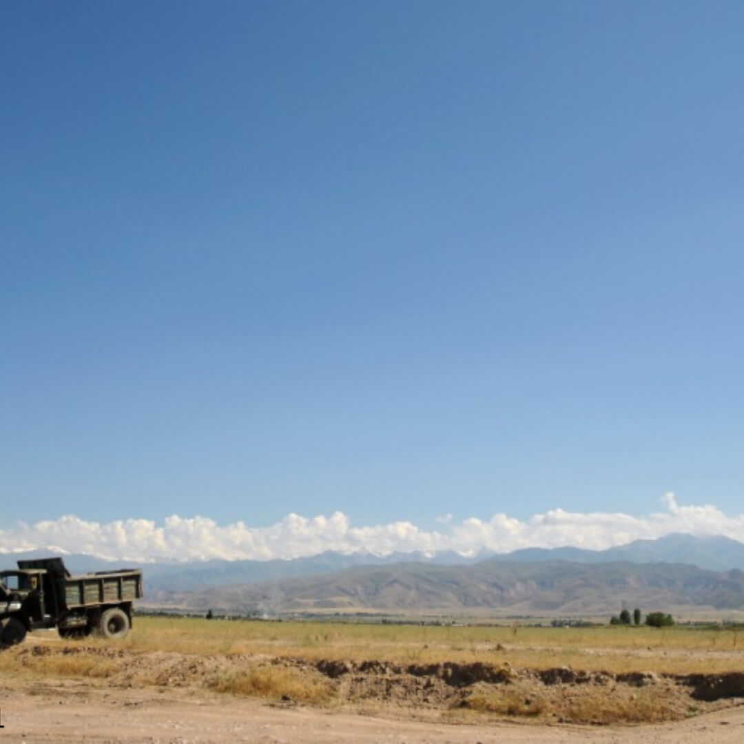 2025년 상반기 노임단가 조회, 다운로드 ✅