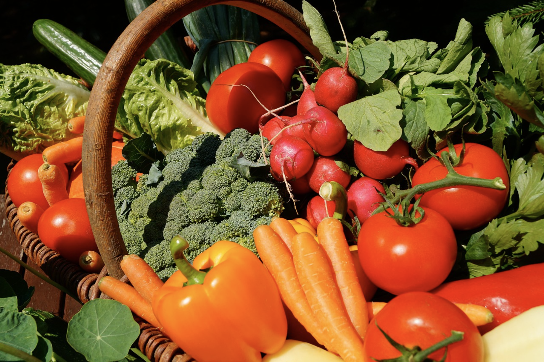 제철 채소 관련 사진