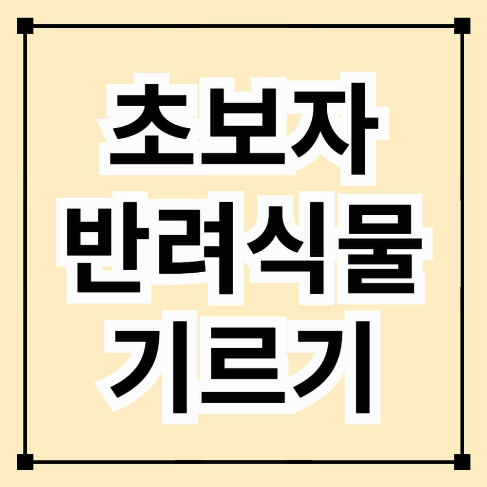 초보자 반려식물 기르기