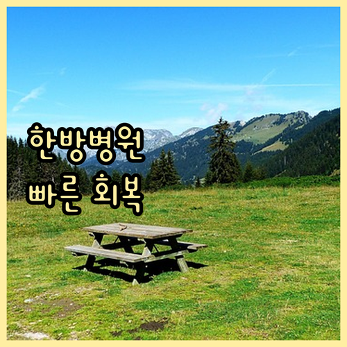 한방병원 간병 서비스 환자의 빠른 회