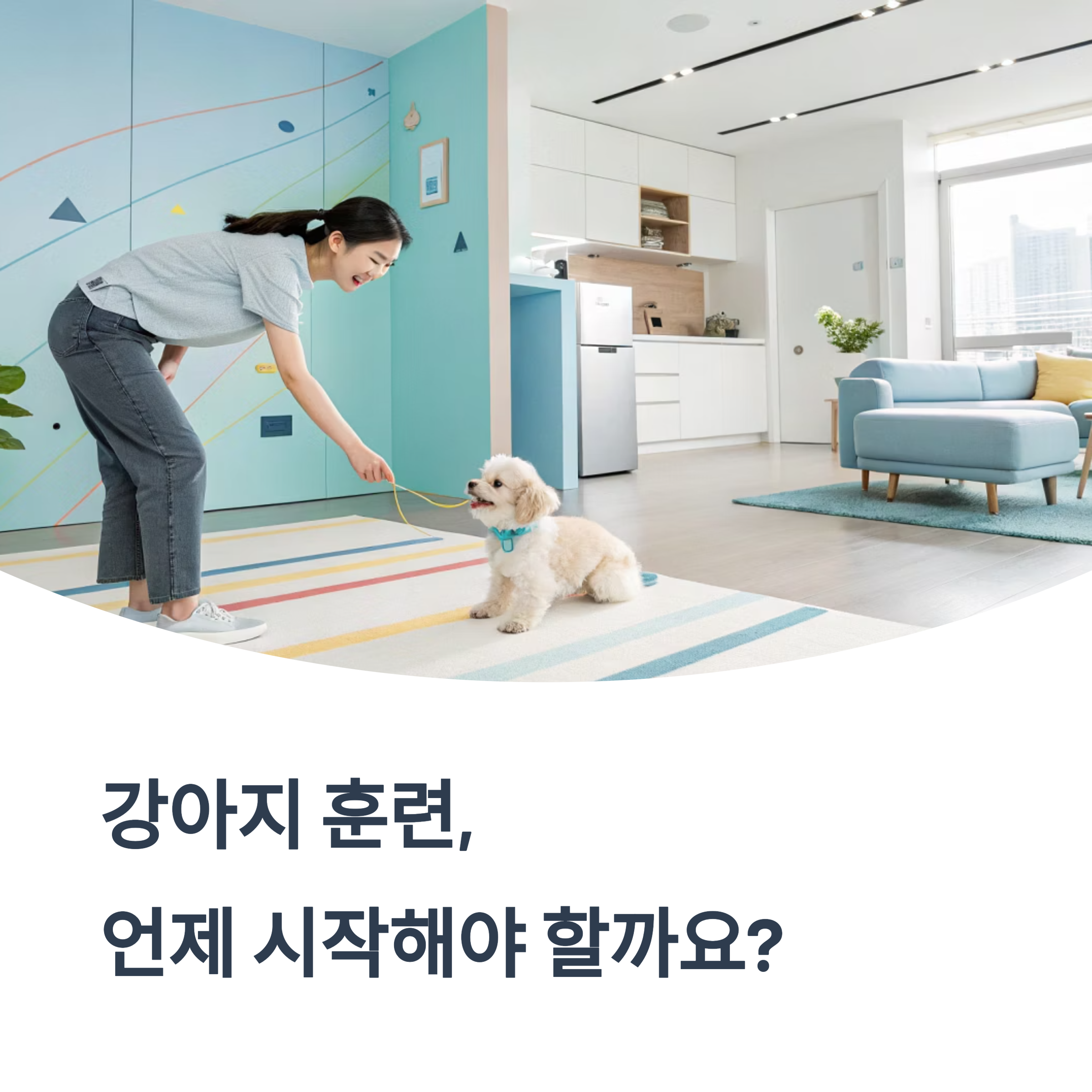 반려견과의 행복한 동행: 단계별 맞춤 훈련법