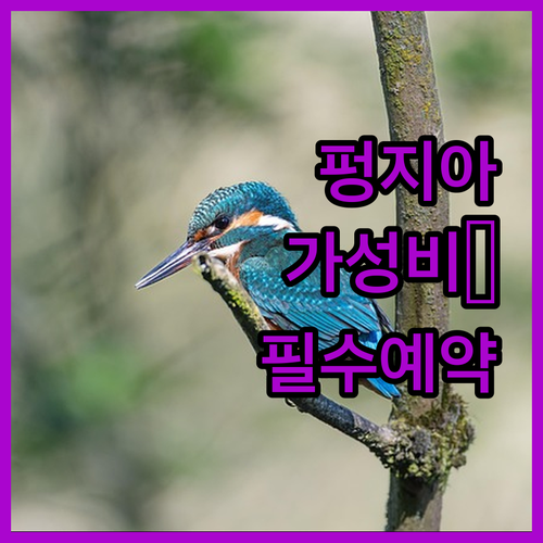 펑지아 야시장 도보 이동 가능한 타이..