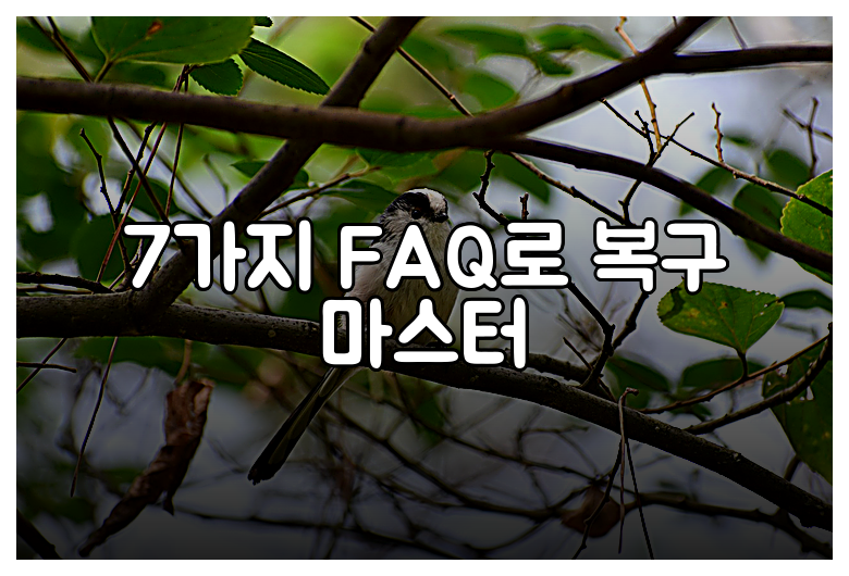 7가지 FAQ로 복구 마스터