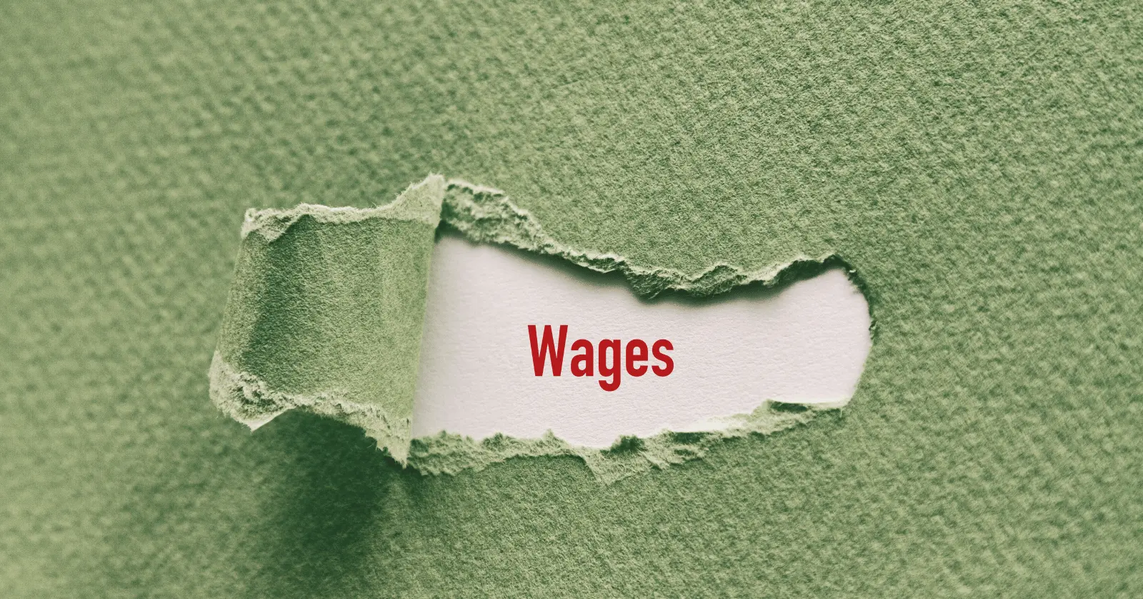 2025년 최저시급 월급